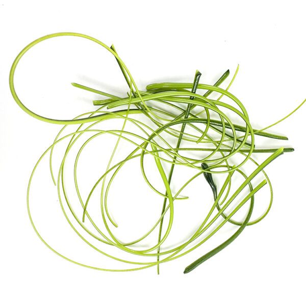 Stringers - Green - 90COE