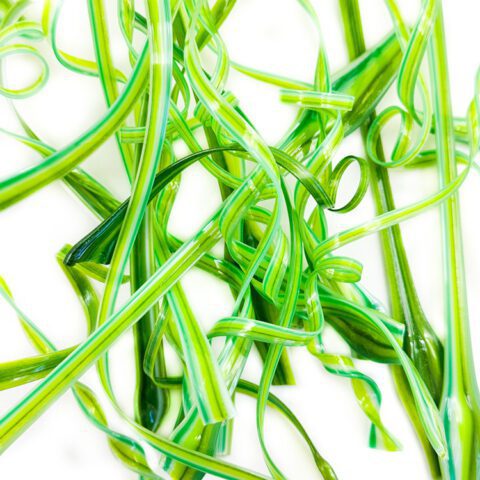 Stringers - Floral Green - 90COE