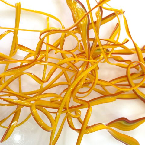 Stringers - Floral Autumn