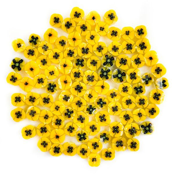 Murrine – Flowers – Yellow Poppy – 90COE