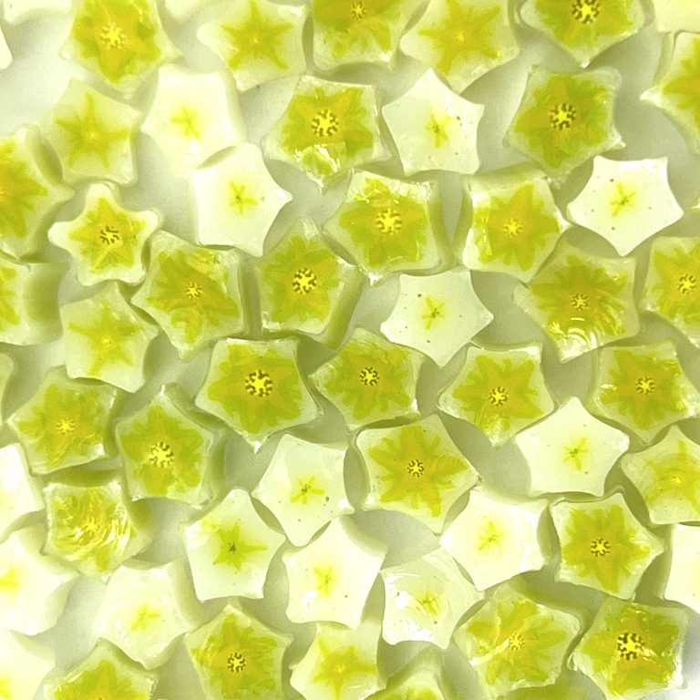 Murrine - Flowers - White Star - 90COE