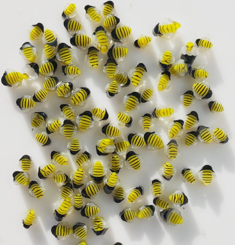 Murrine - Bumblebee - 90COE