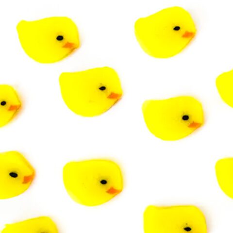 XL Murrine - Chicks - 90COE