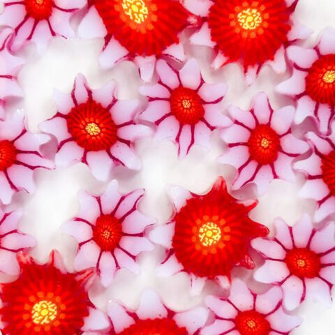 XL Murrine - Water Lily - 90COE