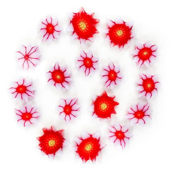 XL Murrine - Water Lily - 90COE