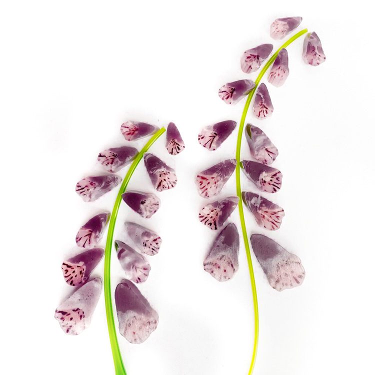 Murrine - Mixed Sizes - Pink Purple Foxglove - 96COE