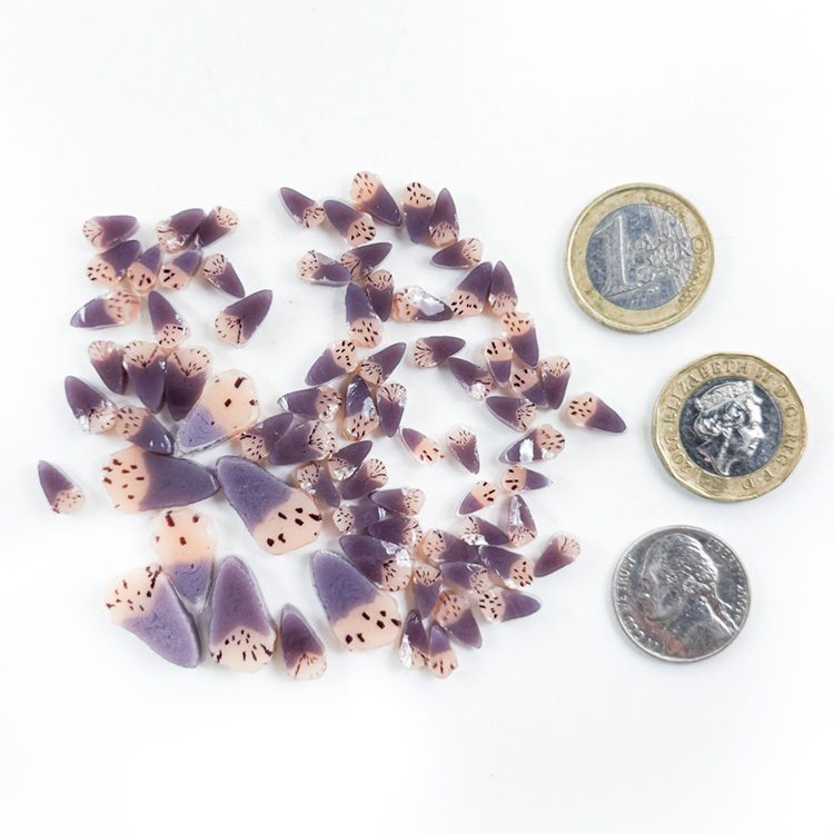 Murrine - Mixed Sizes - Pink Purple Foxglove - 96COE