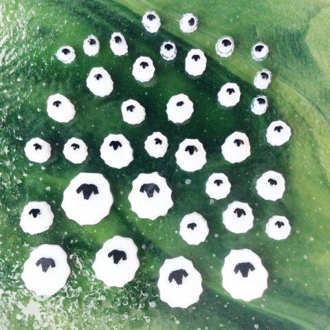 Murrine - Mixed Size - White Sheep - 96COE