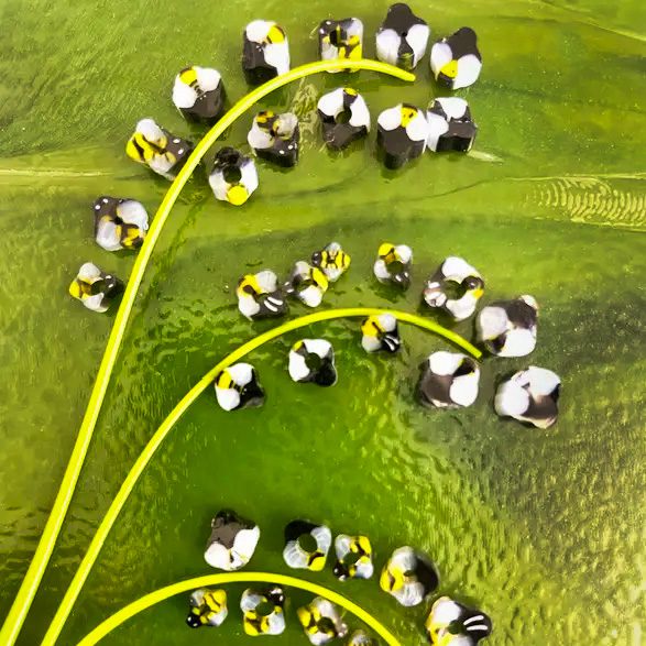 Curious - Bumblebee Orchid 25g - 90COE