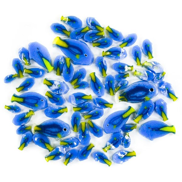 Murrine - Mixed Sizes - Blue Tang Fish - 90COE - Image 2