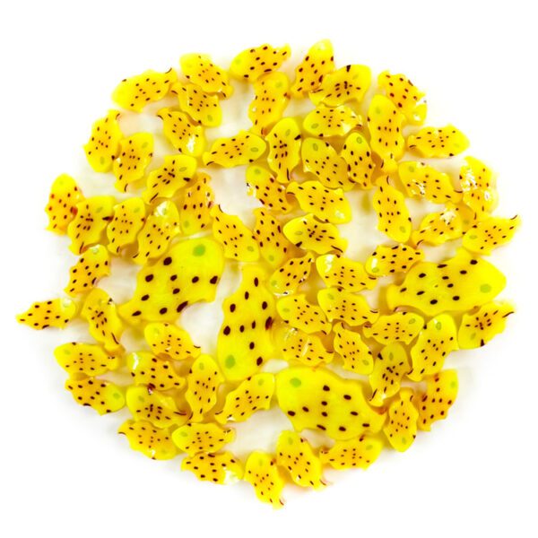 Murrine - Mixed Sizes - Box Fish - 90COE