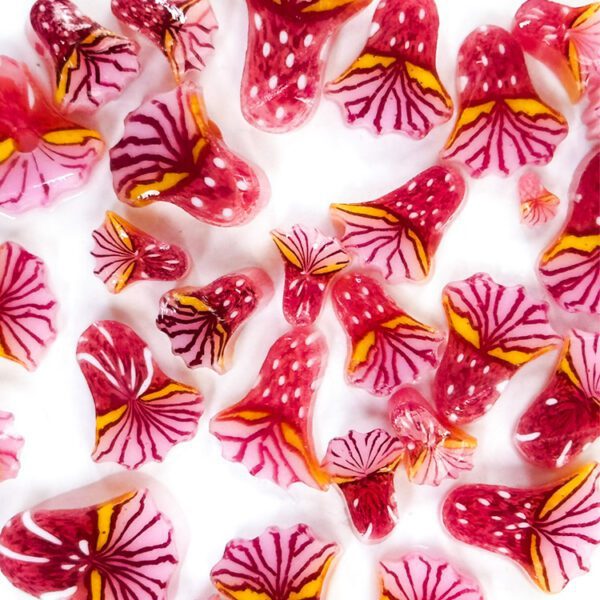 Murrine - Mixed Sizes - Pink Anemone - 90COE