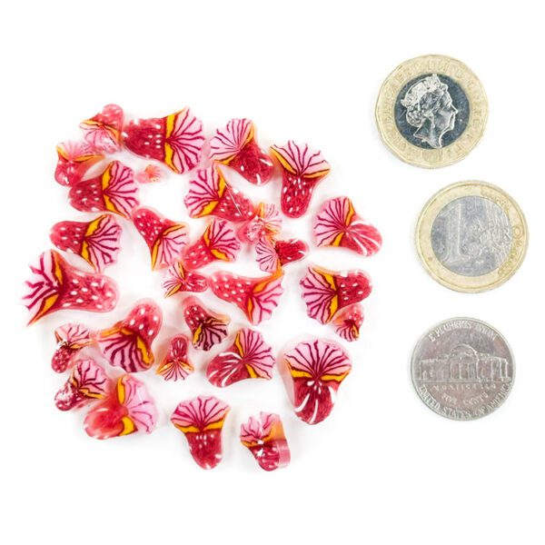 Murrine - Mixed Sizes - Pink Anemone - 90COE