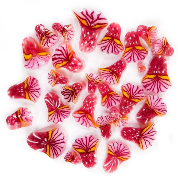 Murrine - Mixed Sizes - Pink Anemone - 90COE