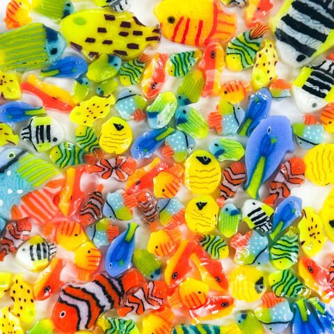 Murrine - Mixed Sizes - Tropical Fish Mix - 90COE