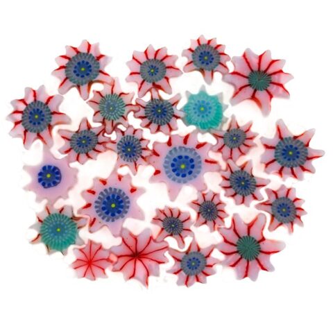 XL Murrine - Mix Size - Anemone Sea Urchin - 90COE