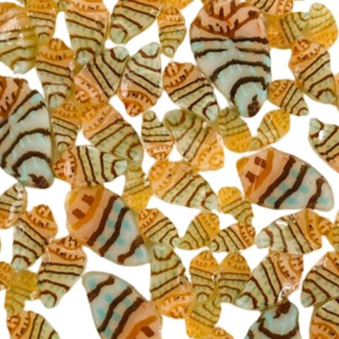 Murrine - Mixed Sizes - Kings Crown Shell - 96COE