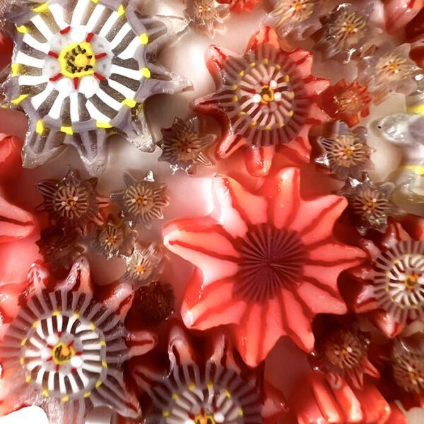 Murrine - Mixed Sizes – Sunstar Anemone – 96COE