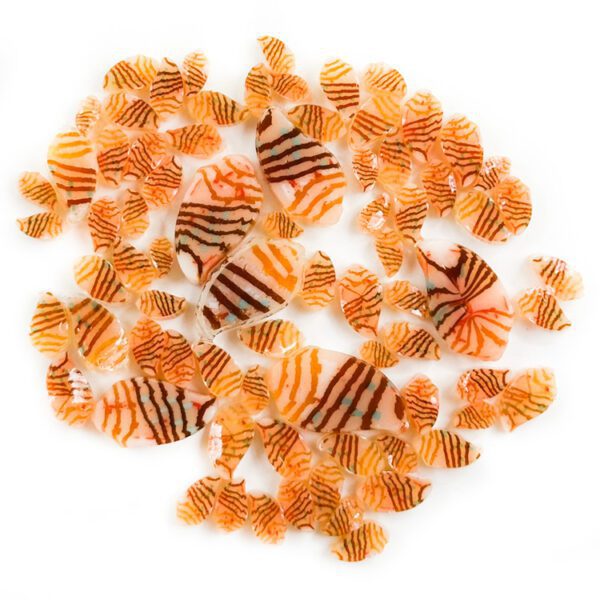 Murrine-–-Mixed-Sizes-–-Kings-Crown-Shell-–-96COE