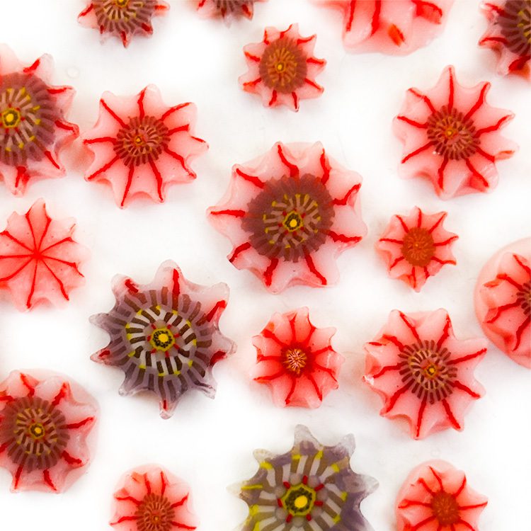 Murrine – Mixed Sizes – Sunstar Anemone – 96COE