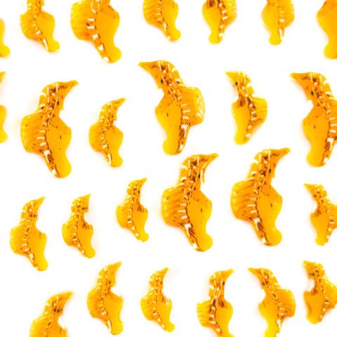 XL Murrine – Seahorse – 96COE