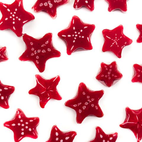 XL Murrine – Starfish – 96COE