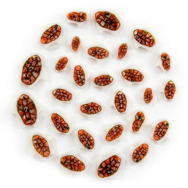 Murrine-Mixed-Size-turtles-96COE