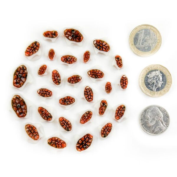 Murrine-Mixed-Size-turtles-96COE
