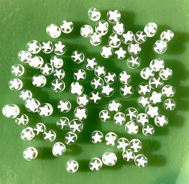 Murrine - Christmas - White Star in Clear - 90COE