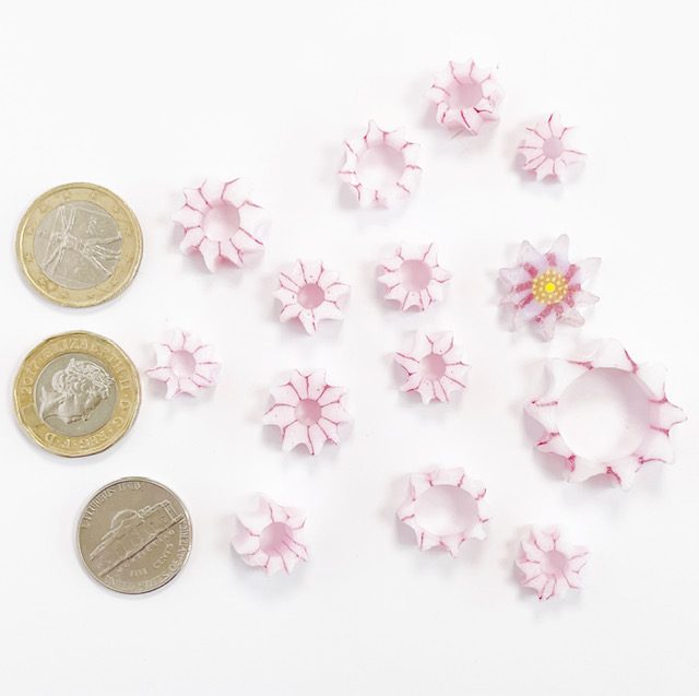 Curious XL - Pink and White Star Burst - 90COE - 25g