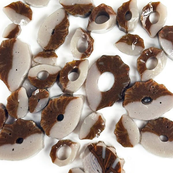 Curious - Mixed Size - Hedgehog - 90COE - 25g