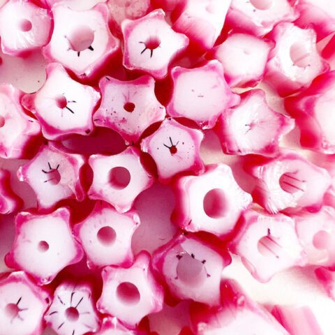 Curious - Pink Flower - 90COE