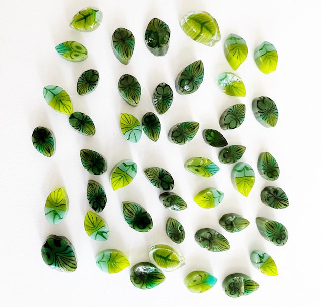 Curious - Variegated Green Leaf - 90COE - 25g