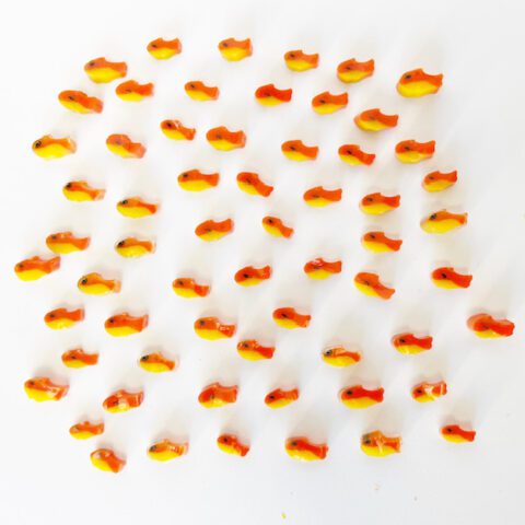 Murrine - Gold Fish - 90COE