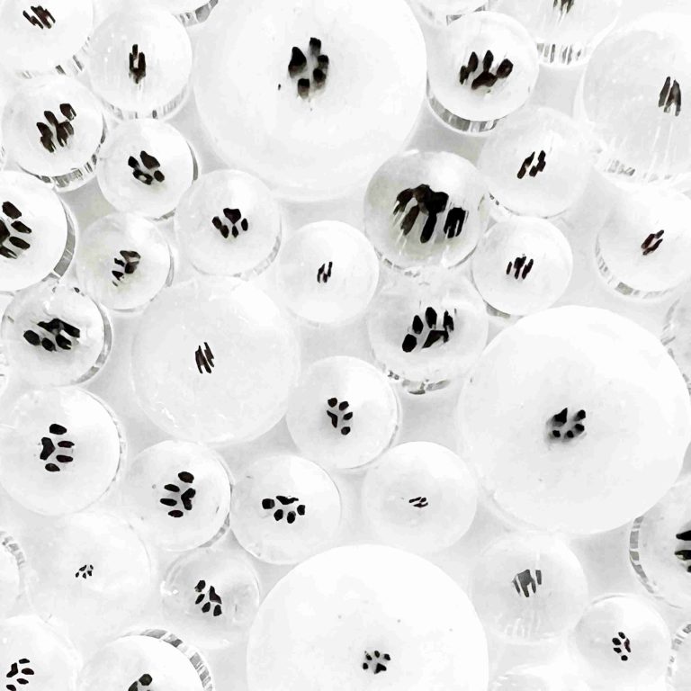 Curious - Mini Paw Print in Clear - 96COE - 25g