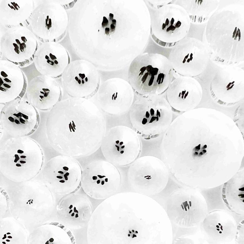 Curious - Mini Paw Print in Clear - 96COE - 25g