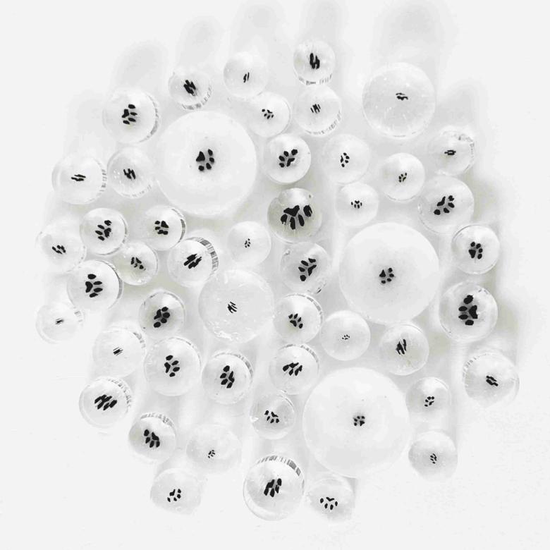 Curious - Mini Paw Print in Clear - 96COE - 25g