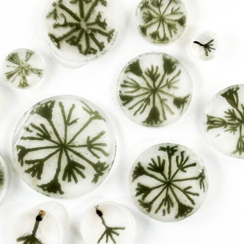 Murrine-–-Mixed-Size-–-Dandelion-–-90COE