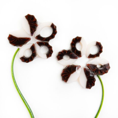 Curious – Mixed Size - Hedgehog 25g – 96COE