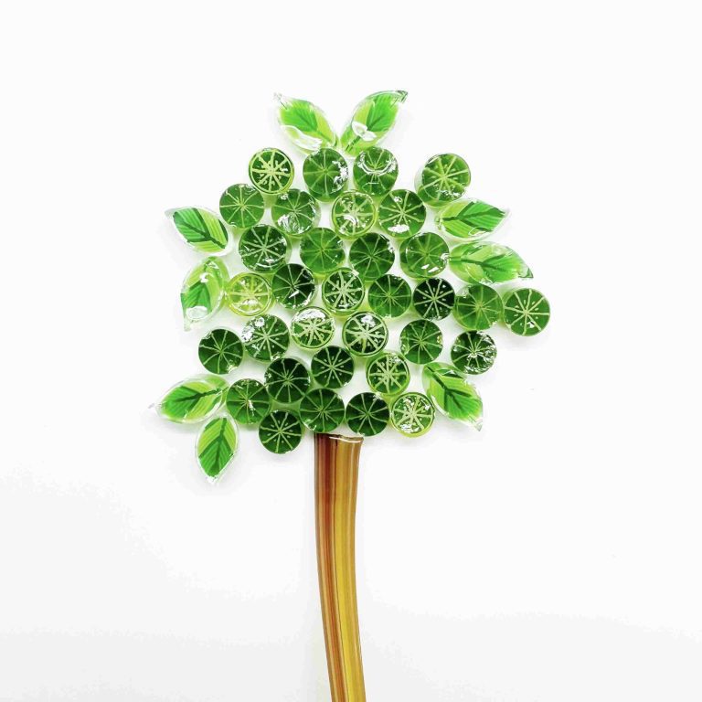 Murrine - Fruit - Lime Slice - 96COE