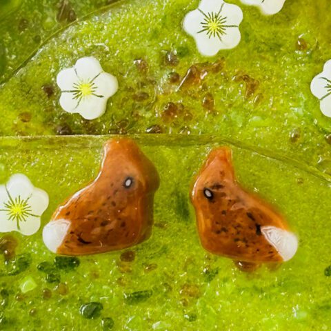 Murrine – Animals – Brown Bunny – 90COE