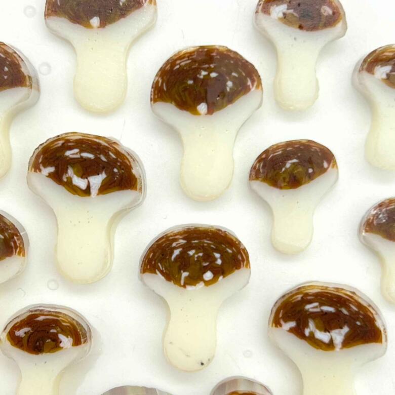 XL Murrine - Bolete Mushroom - 90COE