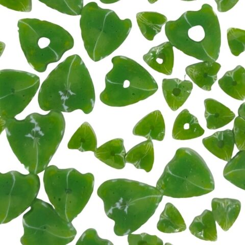 Curious - Sunflower Leaves - 96COE - 25g