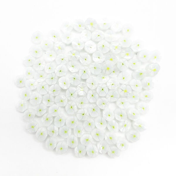 Murrine - Flowers - Dove Pansy - 90COE