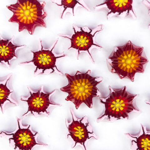 XL Murrine - Water Lily - 96COE