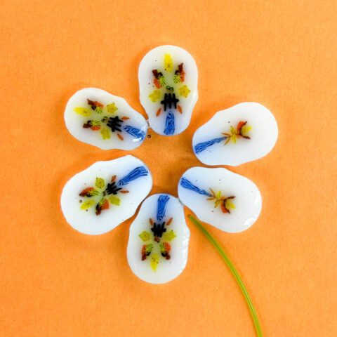 Curious XL - 6 Meadow Petals - 96COE