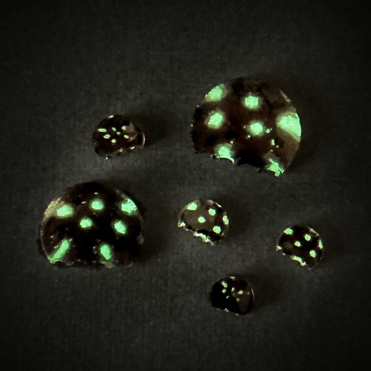 Murrine - Mixed Size - Glow Jellyfish - 96COE - 25g