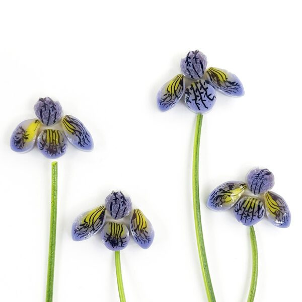 Murrine - Flowers - Iris - 96COE