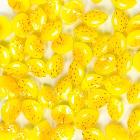 Murrine - Fruit - Lemon - 96COE