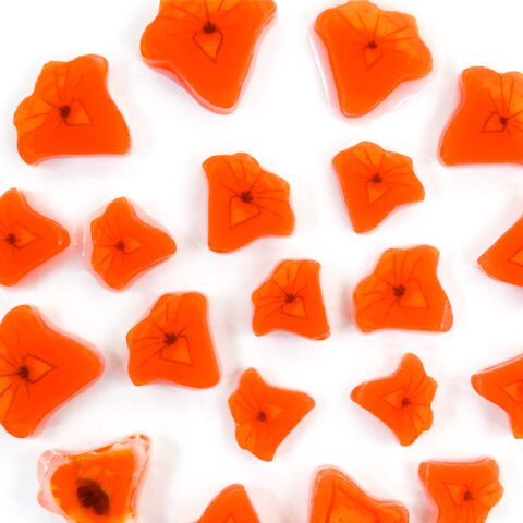 XL Murrine - Trumpet Flower - 90COE